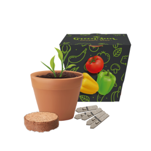 Recycled Pot Gardens, Eco,  Seeds,  Giveaway